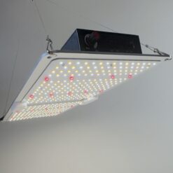 Grow Lampe CANDY 420LED<sup>®</sup> Pro, dimmbar, 250W, 710 μmol/s