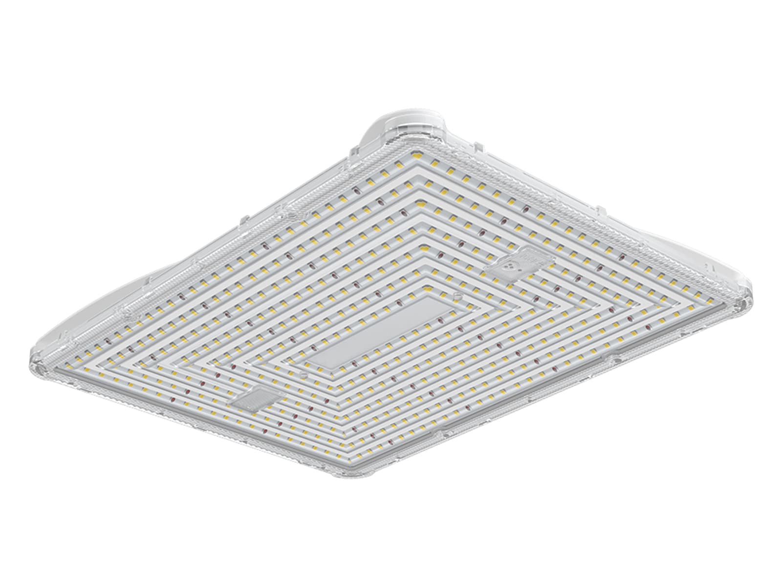 HL26-plant-species-grown-indoors-under-artificial-lighting