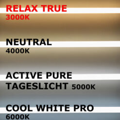 LED Büroleuchten LED Panel MARIA 62cm 48W, Relax True, PHILIPS CertaDrive